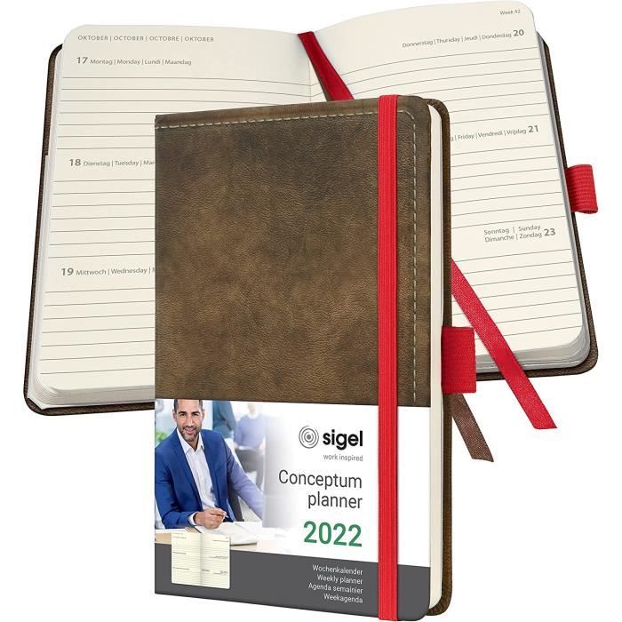 Darice Fahrzeug-Aufkleber-Buch – 570 Bunte Aufkleber Für Bastelprojekte, Scrapbooking & Dekoration (9,5 X 15 Cm)