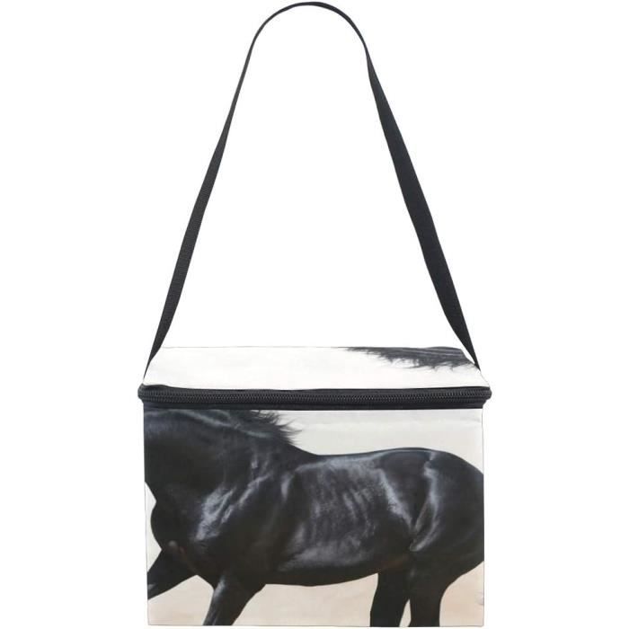 Grand Sac à Déjeuner Isotherme, Boîte à Déjeuner, Sac