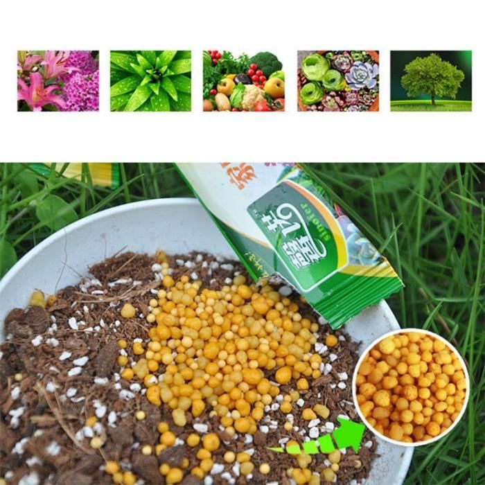 Engrais Organique R&R SHOP | Pour Succulentes Et Cactus | 150g | Libération Lente