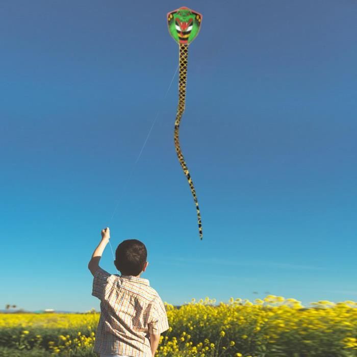 kesurpae Cerf-volant de jardin pour adultes, conçu pour une expérience de vol éducative et ludique. Cerf-volant coloré en forme serpent, jouet volant, grand serpent à longue queue, 8m