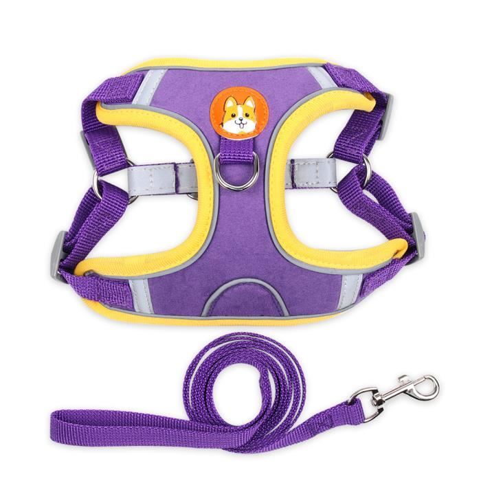 Caveçon bridon pour cheval cuir Harry's Horse Comfort - zwart - Cob - Sport