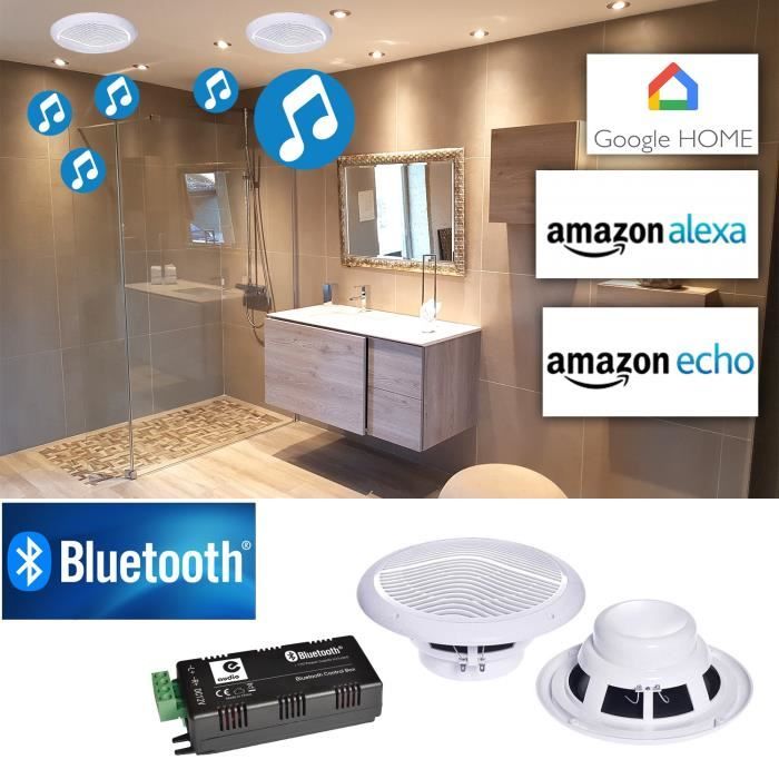 Paire d'haut-parleurs Marins Résitants à l'humidité E-AUDIO B300C avec Amplificateur 30W Google Home Bluetooth Amazon Alexa Echo