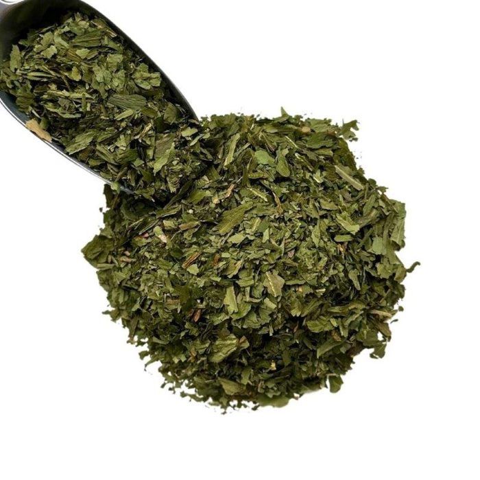 Myrtillus, Uits Et Feuilles De Vaccinium De Myrtille Avec Le Beau Fond Tache Floue Image100246376