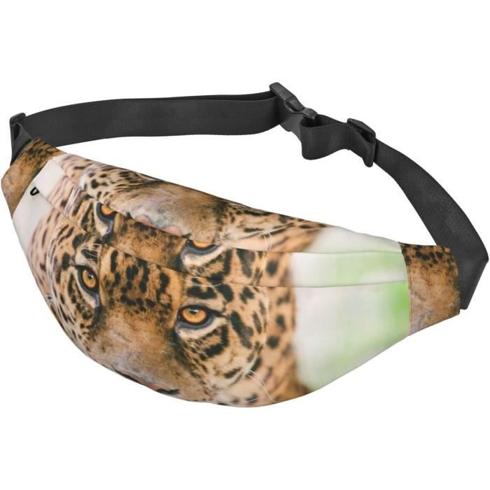 Chaussettes Fantaisies - Le Bar à Chaussettes