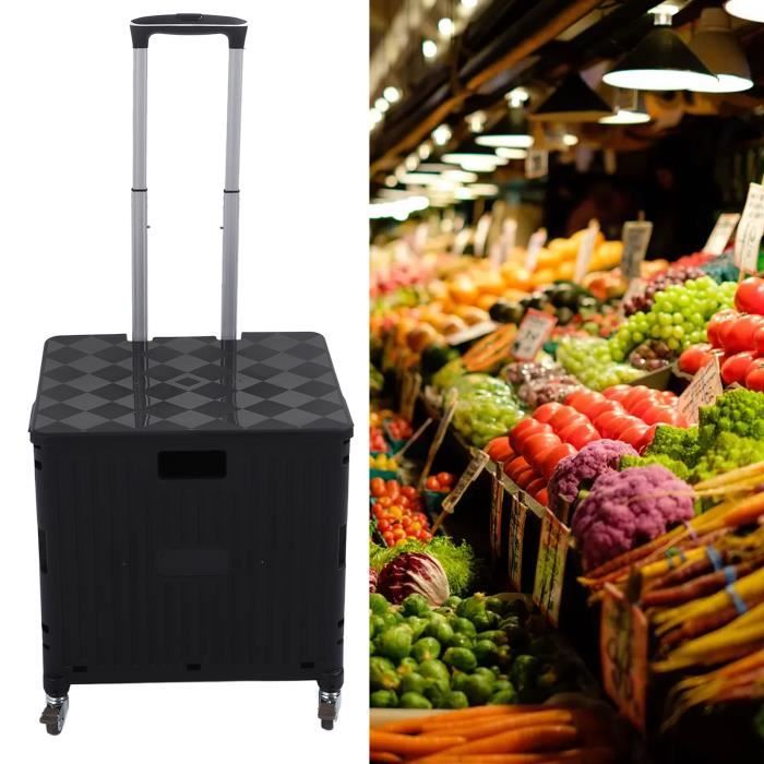 Chariot Pliable Cabriolet 2 En 1 Aluminium - Capacité 660 Lbs, 4 Roues (Neuf)