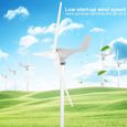 HURRISE générateur d'éolienne 500W DC12V éolienne 3 lames Kit de générateur de vent équipement de producteur d'électricité-2