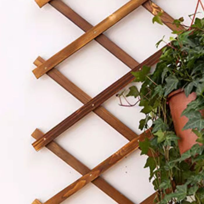 Treillis Jardin DIVCHI Lot De 3 Treillis Muraux Extensibles En Bois Pour Plantes Grimpantes, Décoration Et Séparation Des Plantes (180 Cm X 30 Cm) (blanc Treillis Pour Plantes Grimpantes