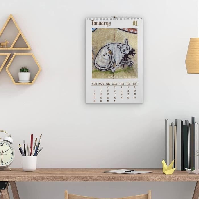 Calendrier Mural 2026 "Chat Qui Lit" - 12 Mois Illustrés Chats Mignons - Planificateur Mensuel Décoratif - 21x21 Cm