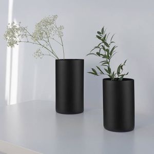 PEPAXON Vase Cylindrique en Verre Vase à Fleurs pour Décoration de Maison 10x30cm PEPAXON Vase Cylindrique en Verre Vase à Fleurs pour Décoration de Maison 10x30cm