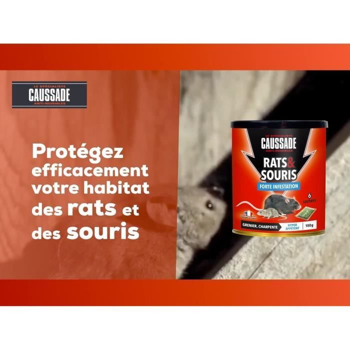 PROTECT EXPERT Anti Rat 150 g | 6 sachets Céréales prêt à l'emploi |  Efficacité Maximale | Très Appétent | Une Ingestion Suffit
