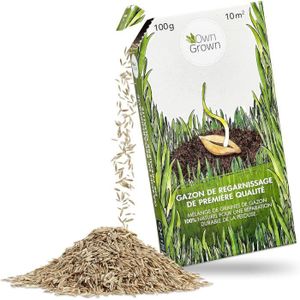 GRAINE - SEMENCE Graines de pelouse: Graine de gazon à germination 