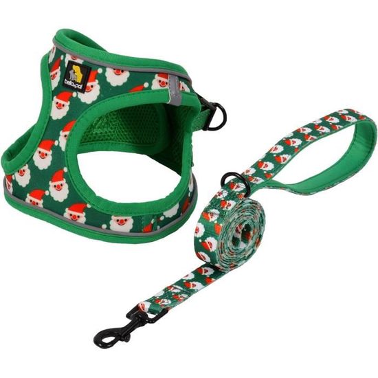 Harnais Pour Petit Chien Réfléchissant Avec Laisse - Design Step-In, Ajustable Et Respirant - Parfait Pour Promenades Et Entraînement - 13