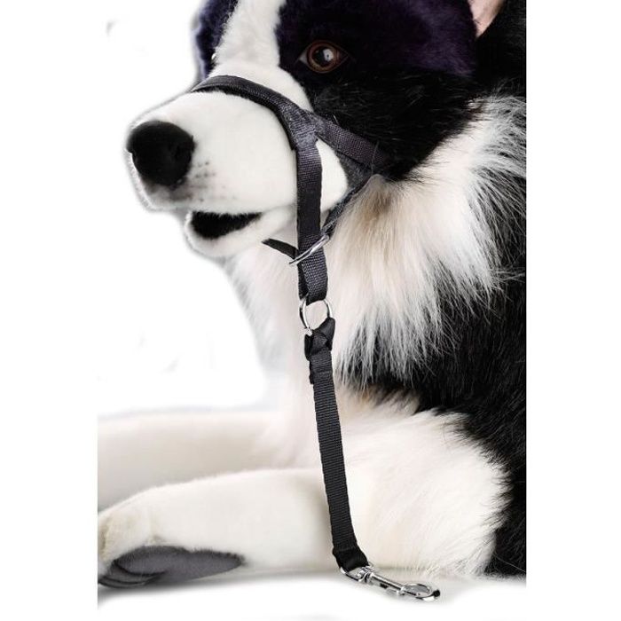 D&D Licol M - 38-48x6x34cm - Noir - Pour chien