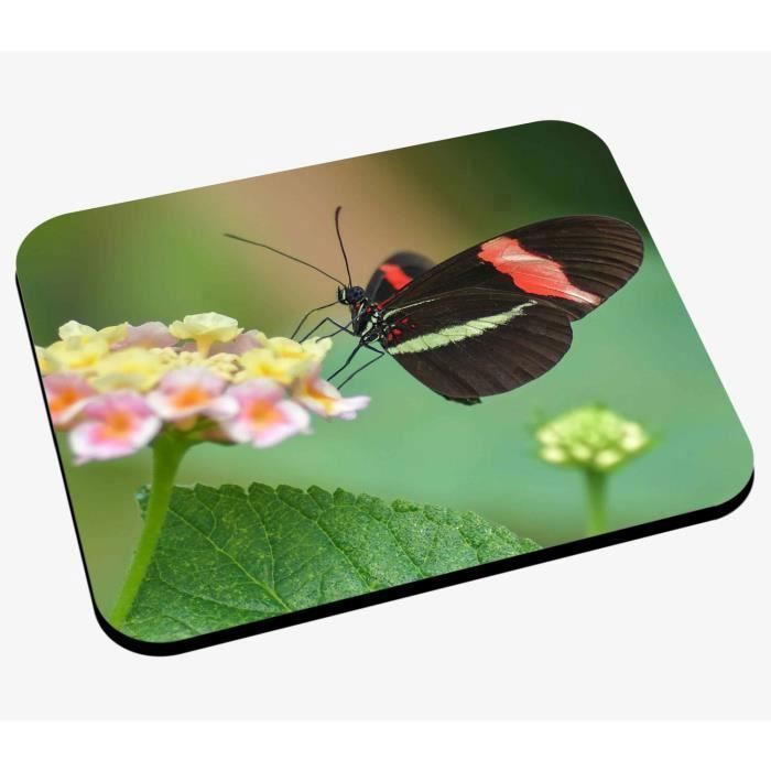 Tapis de Souris Papillon Noir Rouge et Vert Anis sur Fleurs Jaunes et Roses Nature Animaux