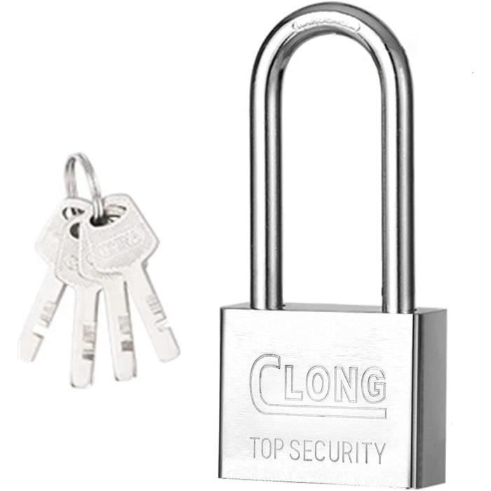 SEPOX Cadenas à Clé 40mm Anse Longue Acier - Lot 4 Avec Clés Identiques Pour Portail Hangar