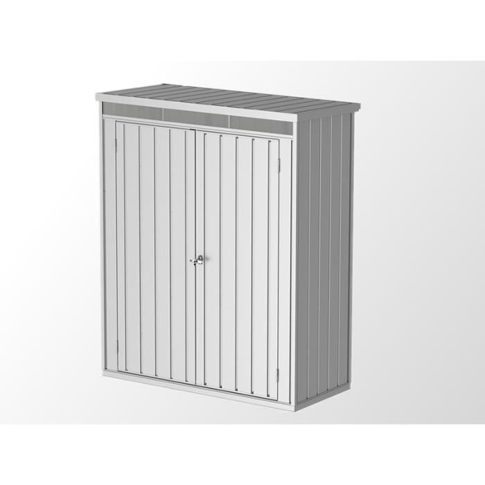 Abri de jardin/Armoire métallique 1,61x0,77x1,96m, 1,24m², Argent