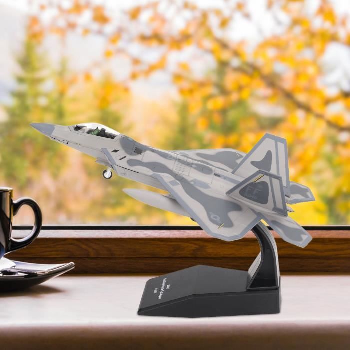 RCESSD Copier Un modèle d'avion 1/100 pour Français Dassault Rafale C Fighter Modèle Avion Militaire Réplique Miniature Échelle Avion Collection de Cadeaux Exquis