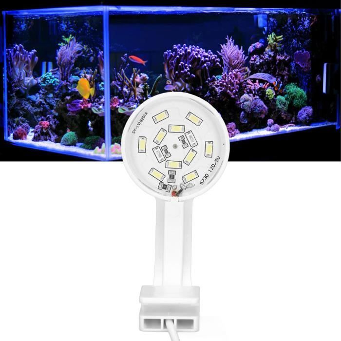 Acheter Mini lumière LED pour Aquarium, Ultra-mince à clipser, éclairage à  haute luminosité pour Aquarium