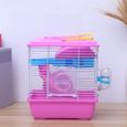 1 Pc Hamster Cage Double Couche Pratique Créative Multifonction Acrylique Portable Animaux Maison pour Petits   CAGE-2