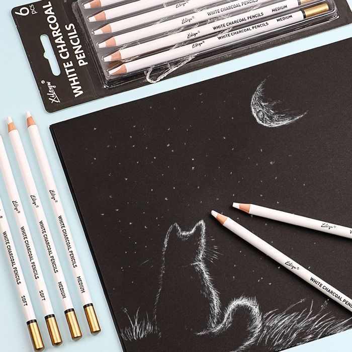 Crayons Fusain Noir Et Blanc - Lot De 6 Pour Dessin, Croquis Et Art (Débutants Et Pros)