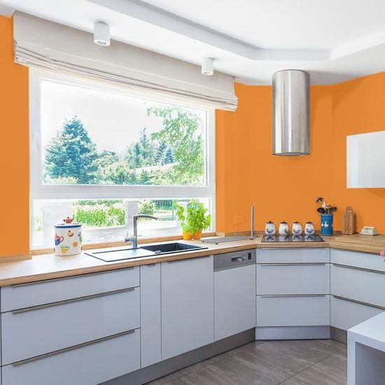 Ripolin Peinture De Renovation Speciale Cuisine Bain Abricot Satin 0 75l Achat Vente Peinture Vernis Peinture Abricot Satin 0 75 L Cdiscount