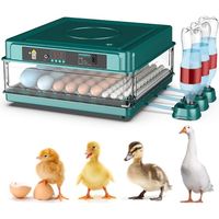 Couveuse Oeuf Automatique 36 Oufs, Retournement Automatique des œufs, Contrôle de la Température, Humidification Automatique
