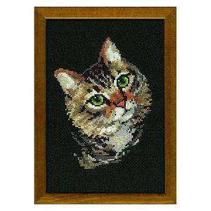 Kit Broderie Point De Croix Chats En Attente - 14 Carats 35,2 X 33 Cm, Projet Facile Et Mignon