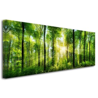 Decoration Chambre Tableau Tableau Deco Tableau Design Tableau Mural Tableau Deco Photo Foret Verte 150x60 Cm Achat Vente Tableau Toile Soldes Cdiscount