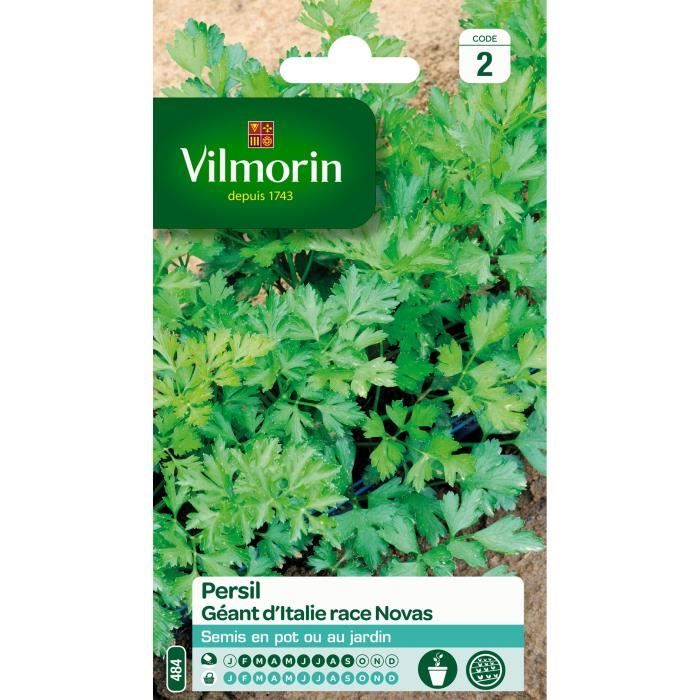 VILMORIN Persil géant d’Italie race Novas