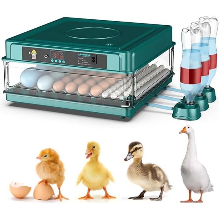 Comparer les prix de Incubateur Oeuf Automatique Professionnel avec Dispositif Automatique pour Retourner Les œufs - pour 15 œufs -c26