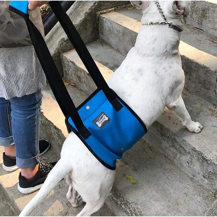 Meilleurs prix pour Support de Levage de Chien Harnais Soutien de Réadaptation Sling Dassistance pour Chiens Adulte Handicapés Blessés Aide à la