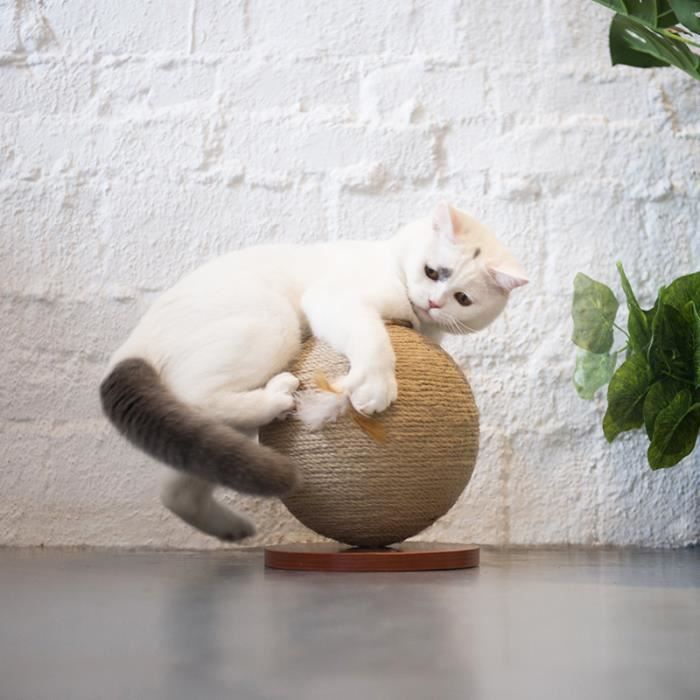 Ballon Arbre A Chat Jouets En Armure De Corde X X 24cm Jouet A Gratter Avec Crochet Hochet Jeu Pour Chat Cdiscount Animalerie