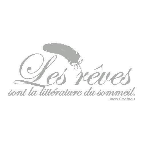 Stickers Citation Jean Cocteau Ref T Mk1063 Argent 102x225 Cm 4 Parties Cdiscount Maison