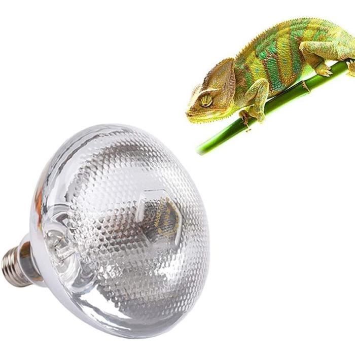 Lampe Chauffante Terrarium Avec Abat-jour - Douille E27, Max 200W, UVA/UVB, Pour Reptiles, Tortues, Lézards, Plantes - 6