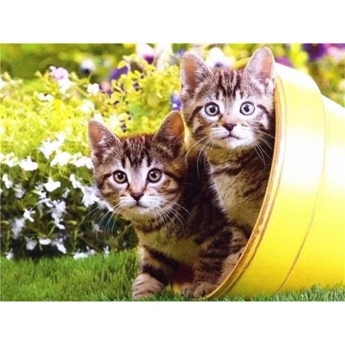 Peinture De Diamant De Chat De Petite Fille Aicaine, Perles De Broderie De Mosaïque, Art De Mosaïque De Bricolage, Carré Complet, Rond, Bijoux De Point De Croix