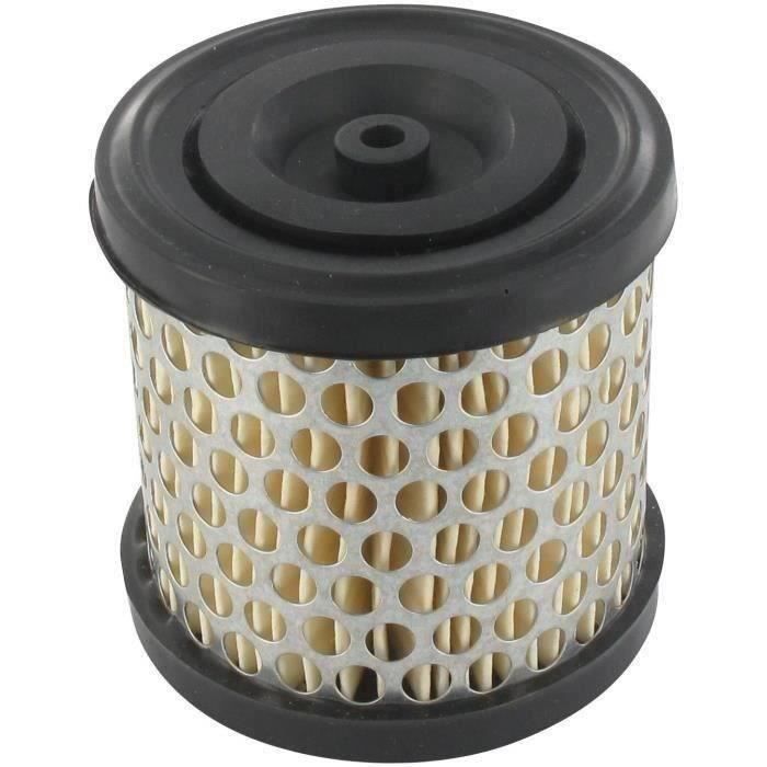 Filtre à air BRIGGS ET STRATTON 396424