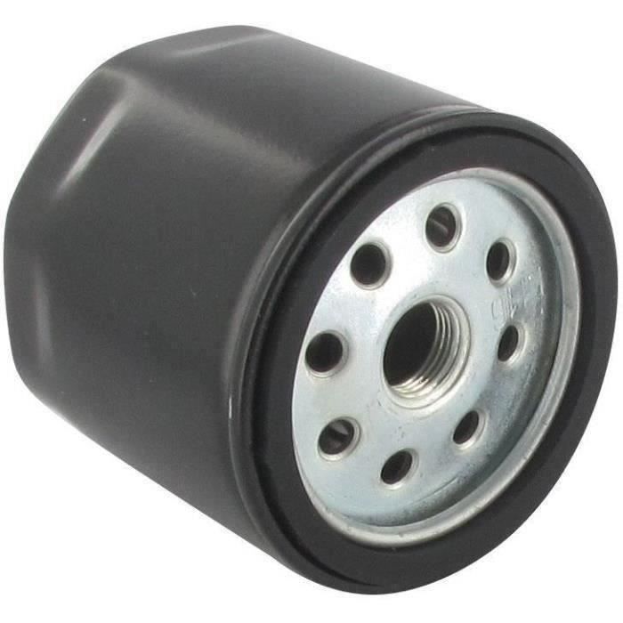 Filtre à carburant LOMBARDINI 2175-045 - 2175-138