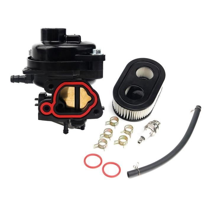Carburateur pour oteur de tondeuse Briggs-Stratton 799584