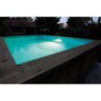 Spot LED 350 blanc pour piscines bois UBBINK - ABS - IP68 - 24W - 12VAC/50Hz - Garantie 2 ans-1