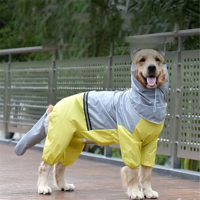 Manteau clearance pour doberman