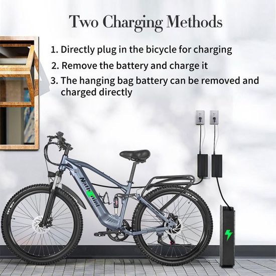Roue Avant Moteur Vélo électrique Fat Tire 48V 1000W - 20 Pouces - Pour Conversion E-bike