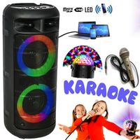 Enceinte Karaoke Enfant USB Bluetooth PARTY ALFA-2600 sur Batterie - Jeu de Lumière Disco - Micro - Fête - Boum - Anniversaire