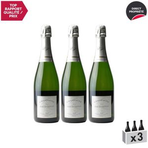 CHAMPAGNE Champagne Brut tradition Blanc - Lot de 3x75cl - Champagne Daubanton - Cépages Pinot Meunier, Pinot Noir, Chardonnay