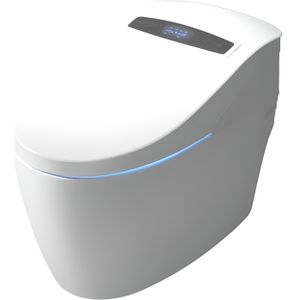 WC - TOILETTES WC japonais monobloc Luxe Platinium 2 PLUS TopToilet