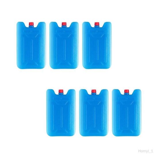 6 Blocs Réfrigérants Réutilisables 200ml - Glace Sac Isotherme Pour Glacière