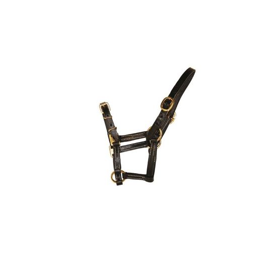 Harnais chambord nylon noir/fauve cheval poney double poney