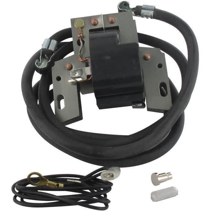 Greenstar 4943 Bobine d'allumage électronique pour Briggs/Stratton Bicylindres/Horizontaux/Verticaux