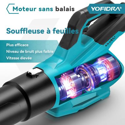 Souffleur de feuilles sans fil, 20V Souffleurs de feuilles avec 2