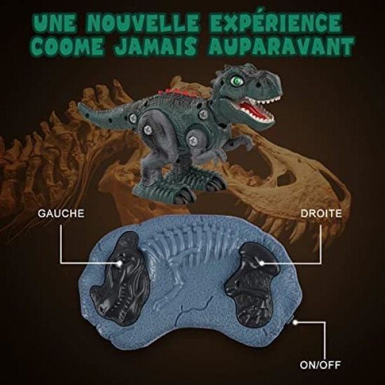 Dinosaure Télécommandé, Enfant Jouet Animaux Téléguidé, RC Démonter
