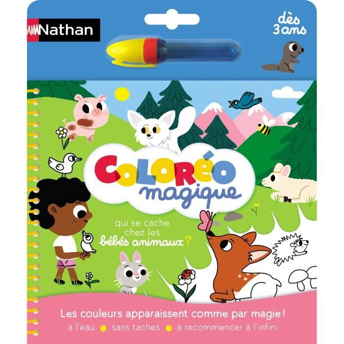 Plateforme de dessin éducative Dessinéo Atelier de dessin 2.0 de NATHAN  pour enfant à partir de 4 ans - Cdiscount Jeux - Jouets